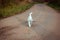 White homeless beautiful cat walking on the road, staring and squinting. A lonely stray cat is looking for a house and a owner
