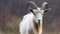 A white horned goat head on blurry natural background, generated by ai