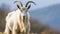 A white horned goat head on blurry natural background, generated by ai