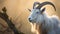 A white horned goat head on blurry natural background, generated by ai.