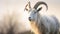 A white horned goat head on blurry natural background, generated by ai