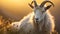 A white horned goat head on blurry natural background, generated by ai