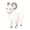 White horned mountain ram sheep cartoon character design flat vector animal illustration isolated on white background