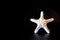White horned sea star Protoreaster nodosus