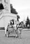 A white horse carries tourists in Kazan Kremlin.