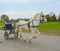 White Horse and cart