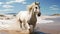 A white horse fast runs on the beach