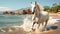 A white horse fast runs on the beach