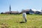 White horse grazing on alpine meadows, Bavarian Alps in Germany