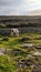 White horse grazing Irish countryside Aran Islands Inishmore Ireland