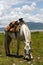 White horse with Mexican saddle grazing