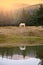 White horse pasturing by a lake with a reflection in water