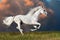 White horse runs on the dark sky background