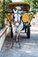 White horse and traditional tourist carriage