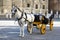 White horse and traditional tourist carriage in Sevilla