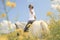 A white horse on yellow flower field with a rider