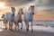 White horses in Camargue, France