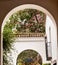 White Horseshoe Arches Pink Flowers Alcazar Royal Palace Seville