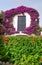 White house covered with colored Bougainvillea