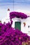 White house covered with colored Bougainvillea of Menorca