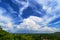 White huge cloud above the tree forest and blue sky