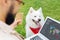 White husky feeling curious looking at laptop of owner