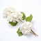 White Hydrangea Flower Stems With Leaves - Handcrafted Floral Art