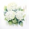 White Hydrangea Watercolor Painting For Card