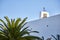 White Ibizan church with a bell tower and a palm tree over a blue sky