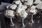 White ice cream in metal ware in the tray. Selective focus. Stainless ice cream cup that arrange in the . Ice cream in two retro