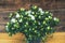 White Indian azalea on a wooden background. Home mini potted plants.