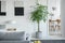 White industrial lamp on console table in bright living room interior with plants and grey comfortable sofa