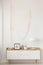 White industrial lamp, photo in frame and plant in pot on wooden console table in elegant living room with white wall