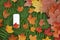 White IQOS battery  with  individual sticks lies on decorative abstract wooden texture with green,  yellow , red leaves of fern