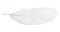 White isolated goose straight feather