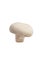 White isolated mushroom