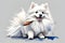 white Japanese Spitz dog on Isolated