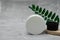 White jar of cream, brush with black bristles for massage, lip gloss, green twig on gray background, beauty products, self care