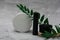 White jar of cream, brush with black bristles for massage, lip gloss, green twig on gray background, beauty products, self care