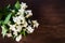 White Jasmine flowers with green leaves on dark brown wooden table. Flat lay, top view, copy space for text. Floral wallpaper