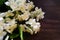 White Jasmine flowers with green leaves on dark brown wooden table. Flat lay, top view, copy space for text. Floral wallpaper