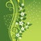 White Jasmine flowers on green swirls background