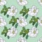 white jasmine seamless repeat pattern