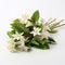 White Jasmine On White Background: A Fusion Of Natural And Man-made Elements