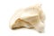 White king oyster mushroom