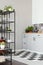 White kitchen interior with elegant wooden cupboards and kitchen accessories