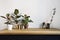 White kitchen interior with green plants on rustic wooden table, modern workplace in nordic style.