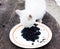 White kitten eats caviar