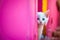 A white kitten peeks out from behind a pink wall, generative AI