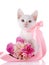 White kitten with a pink tape and a flower of a peony.